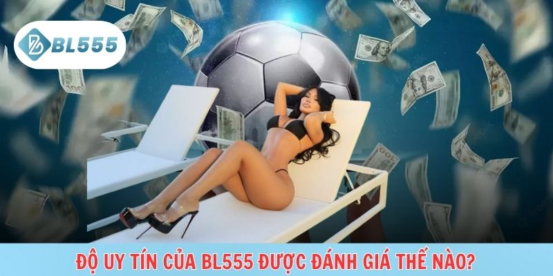 Đánh giá mức độ uy tín và minh bạch của nền tảng